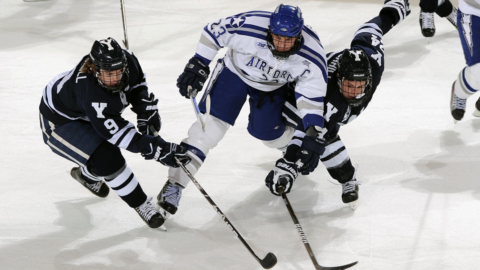 “舞步疾风，挑战极限！金牛区城北体育馆成全球运动舞蹈高手的竞技舞台”
